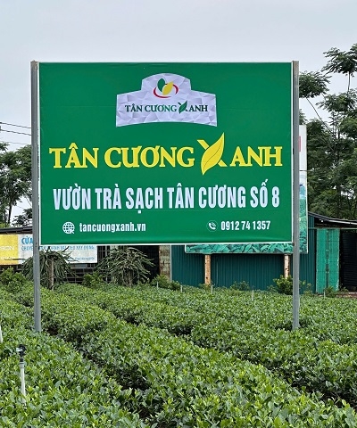 Tân Cương Xanh Group