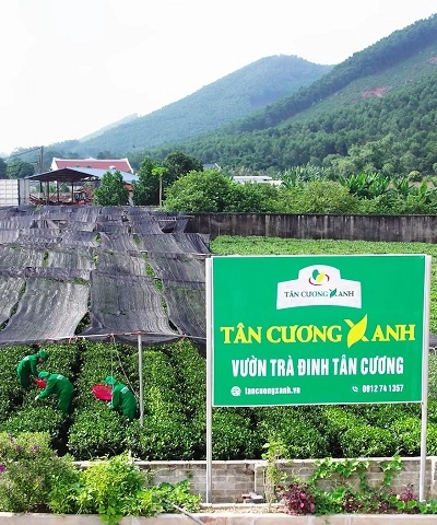 Tân Cương Xanh Group